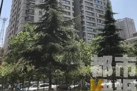 一女白领上班时从12楼坠落，砸在越野车后备箱上图片
