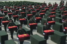 微视频丨英雄回家图片