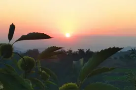 柱子不倒，大山无恙图片