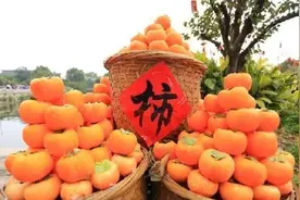 农村讲“男怕柿子女怕梨，母猪最怕西瓜皮”是啥意思？有道理吗？图片