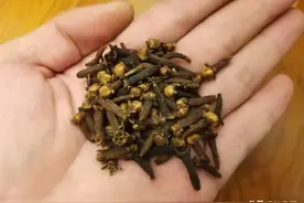 在家自制丁香油，拿蚯蚓蘸一下再施钓，鱼儿的咬钩率明显增加图片