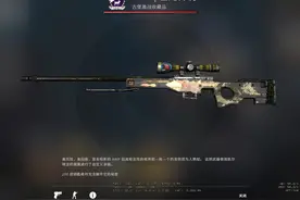 CSGO：买了就卖不出去？这些皮肤都值上千块，可惜却太难出手图片