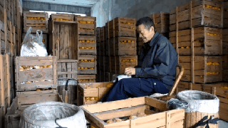 上万斤椪柑滞销，急坏残疾人果农！你来帮帮忙不图片