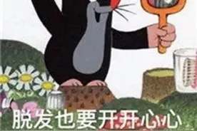 表情包 | 脱发也要开开心心图片