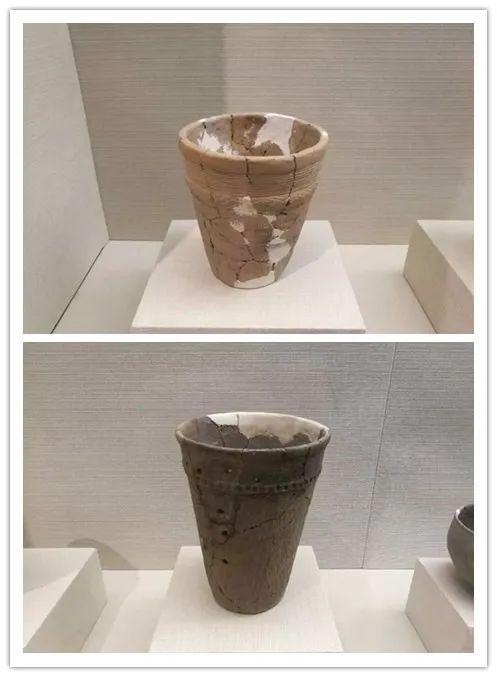 原始牛角化石多少钱