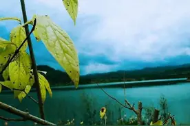 娶个小10岁的老婆，婚后半年，这3个男人说出大实话图片