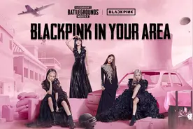 “半年五百个热搜，是头猪也红了！”图片