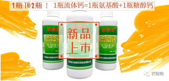 婧冪枴鐥呭浣曟牴娌伙紵鏌戞鎬庝箞鍍忓崡鐡滀竴鏍凤紵鑶ㄦ灉绋虫灉鍙互杩欎袱涓偉涔堬紵