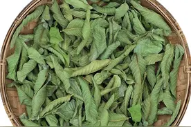 番石榴是一种什么样的果树？图片