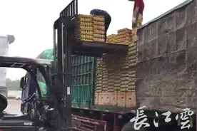 湖北鸡蛋如何尽快送到省外？广东、福建等地对鄂产鲜蛋“扶上马、送一程”图片