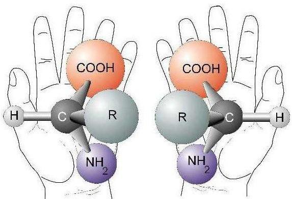新型冠状病毒70：为什么自然界中常见氨基酸都是L型？