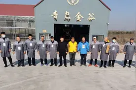 中国信鸽公棚鸽王排名赛（秋赛）——青岛金谷站绝杀关精彩上演图片