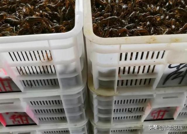 姹熻嫃婧ф按绋昏櫨杞綔鎶€鏈畝浠? onerror=