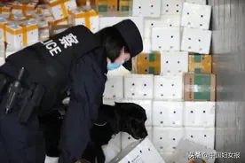 “砂糖”到底是什么“糖”？缉毒女警告诉你图片