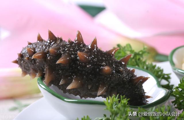 “海茄子”常被当作“海参”，老渔民：注意区分，弄懂不花冤枉钱
