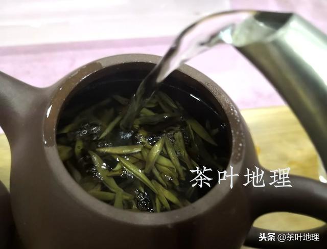 了解这些细节，人人都能泡好白茶！