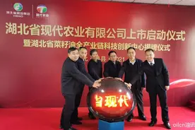 下一家食用油上市企业会是谁？图片
