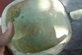 老农水沟捡到翠绿水瓢，带回家舀猪食，专家一番话让他直冒冷汗图片
