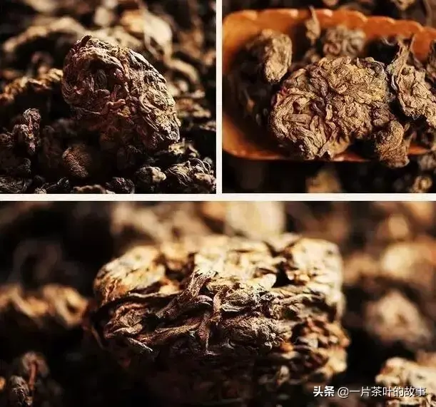 普洱茶从入门到精通的95个专业术语（建议收藏）