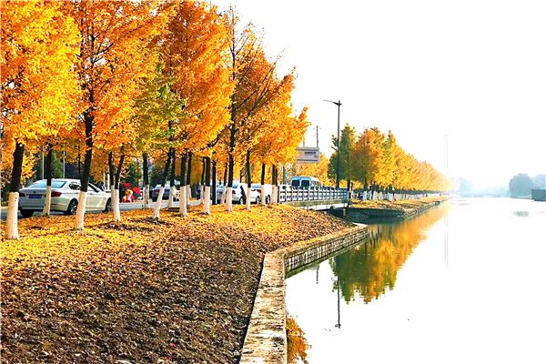 加计抵扣10%的进项税 会计处理（加计抵减10%、15%的相同与不同）