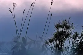 悲惨的人生图片