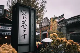 曾经“真实”的成都宽窄巷子：人潮如织，每一张图都是人间烟火图片