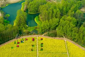 “五一”去哪儿耍？先来看看“2020天府绿道休闲旅游节”西线的精彩活动吧！图片