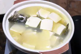春令时鲜，吃春笋荠菜不如吃鳜鱼，肉质肥美，味如河豚，鲜美极了图片