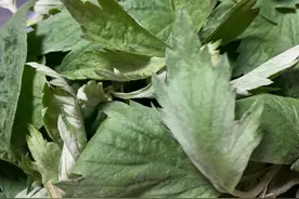 自制艾草薄荷膏，宝宝孕妈夏天必备神器图片
