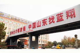 ​蓝翔技校校长：跨省打群架，将妻女送入监狱，最后被反将一军图片