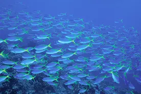 16个你不知道的生活冷知识，宇航员在太空中竟然不会打嗝？图片