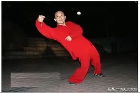 少林醉拳实用技法精粹：实战打法，边防边打，攻防并用，抢击要害图片