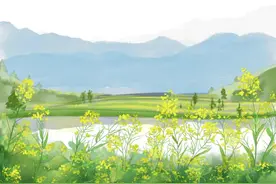 笔记｜一招鲜图片