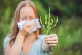 如何摆脱过敏体质的困扰？可从这四个方面来调理过敏体质图片