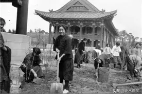 昔日金陵女子大学盛开的999朵玫瑰图片