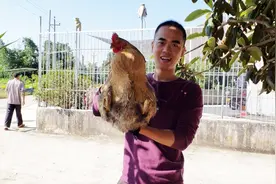 今日立冬，潮汕人进补爱喝的一道汤，做法简单，营养又美味视频封面