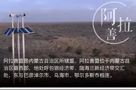 支付宝靠蚂蚁森林偷偷薅你的羊毛？事情可没那么简单图片