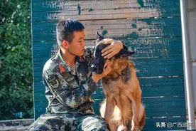 瞬间破防！训导员退伍，警犬咬住背囊不放…图片