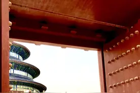 微凉的初夏天，在首都天坛公园里，和花中皇后的一场缤纷邂逅图片