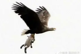 数说行情603：今日小阳，意味深长图片