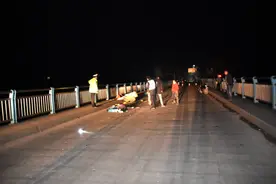 老太凌晨被撞身亡，司机逃逸，民警查到村里，司机吓得自首！图片