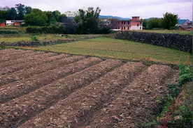 如今农村土地有了大变化，两类人能用土地换钱！4个问题要注意图片