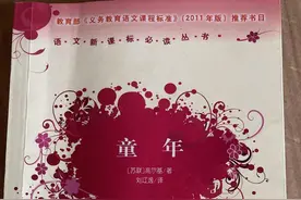 我的阅读之路之《童年》读后感图片