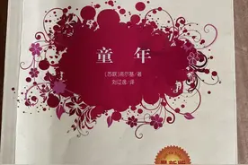 我的阅读之路之《童年》读后感图片