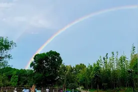 美景如画！雨后梦幻彩虹横天际图片