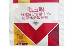 吡虫啉的五个最佳使用搭配，能防治10多种害虫，效果还能翻倍图片