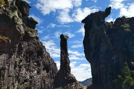 说说《山海经》里的祭祀用酒图片