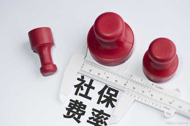 成都以灵活就业人员缴纳社保，缴费标准是什么