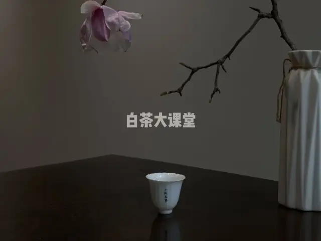 提神喝茶，安神也喝茶，白茶究竟有什作用？