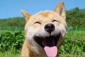 朋友们见过因为便秘导致呕吐的事吗？图片